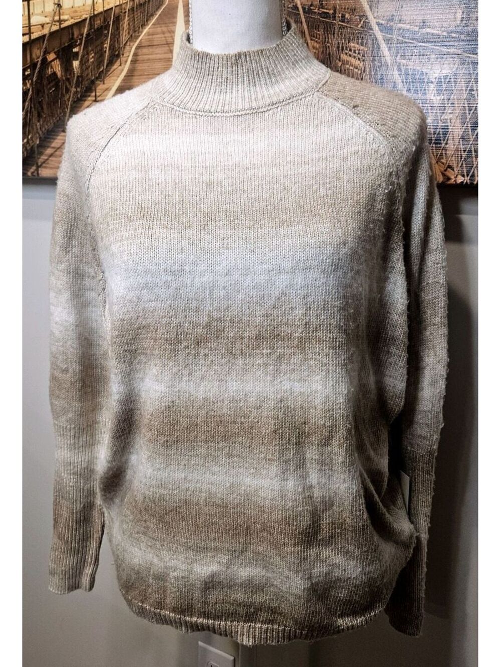 Rachel Zoe Women's Gradient Oversized Knit Sweater Size S